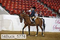 14buck_5774 thumbnail