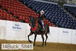 14buck_5846 thumbnail