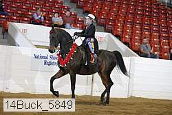 14buck_5849 thumbnail