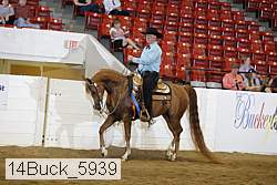 14buck_5939 thumbnail