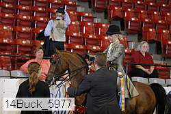 14buck_5977 thumbnail