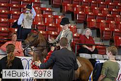 14buck_5978 thumbnail