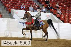 14buck_6009 thumbnail