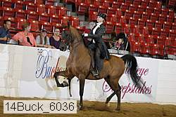 14buck_6036 thumbnail