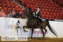 14buck_6064 thumbnail