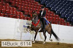 14buck_6114 thumbnail