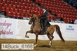 14buck_6168 thumbnail