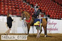 14buck_6199 thumbnail