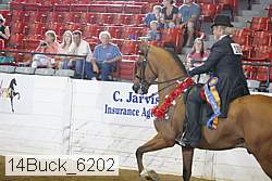 14buck_6202 thumbnail
