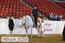 14buck_6258 thumbnail