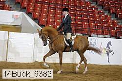 14buck_6382 thumbnail