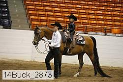 14buck_2873 thumbnail