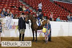 14buck_2926 thumbnail