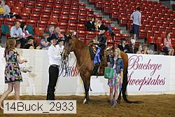 14buck_2933 thumbnail