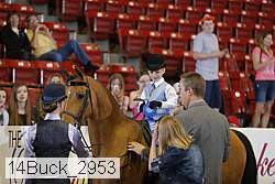 14buck_2953 thumbnail