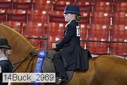 14buck_2969 thumbnail
