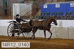 14r12_0140 thumbnail