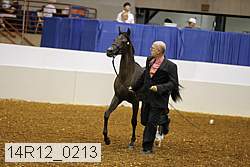 14r12_0213 thumbnail