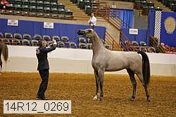 14r12_0269 thumbnail