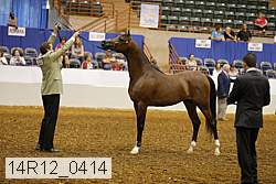 14r12_0414 thumbnail