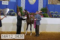 14r12_0436 thumbnail