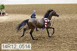 14r12_0514 thumbnail