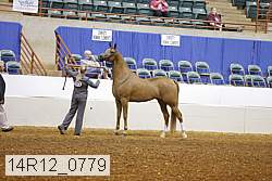 14r12_0779 thumbnail