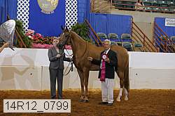 14r12_0799 thumbnail