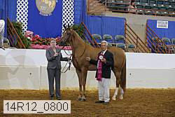 14r12_0800 thumbnail