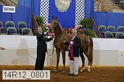14r12_0801 thumbnail