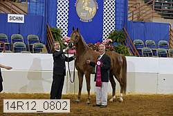 14r12_0802 thumbnail