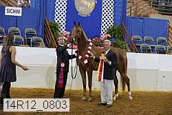 14r12_0803 thumbnail