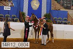 14r12_0804 thumbnail