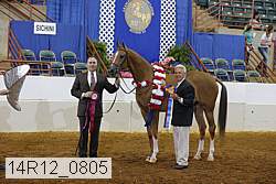 14r12_0805 thumbnail
