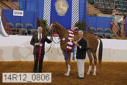 14r12_0806 thumbnail