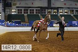 14r12_0808 thumbnail