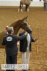 14r12_0833 thumbnail