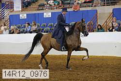 14r12_0976 thumbnail