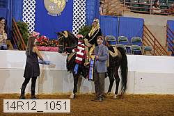 14r12_1051 thumbnail