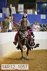 14r12_1057 thumbnail
