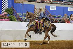 14r12_1060 thumbnail