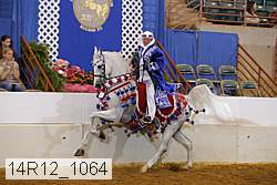 14r12_1064 thumbnail
