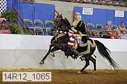 14r12_1065 thumbnail