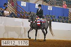 14r12_1176 thumbnail