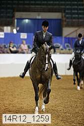 14r12_1259 thumbnail