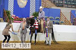 14r12_1361 thumbnail