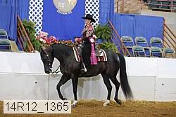 14r12_1365 thumbnail