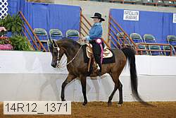 14r12_1371 thumbnail