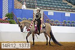 14r12_1373 thumbnail