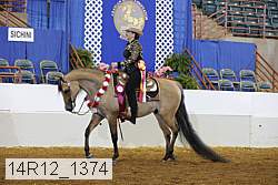 14r12_1374 thumbnail